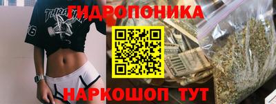 тгк Сланцы
