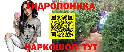 тгк Сланцы