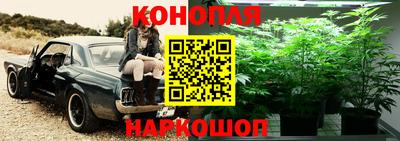 тгк Сланцы
