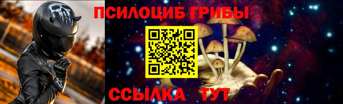Галлюциногенные грибы Psilocybe  Вход с VPN  наркошоп  Семилуки  Псилоцибиновые грибы мухоморы 